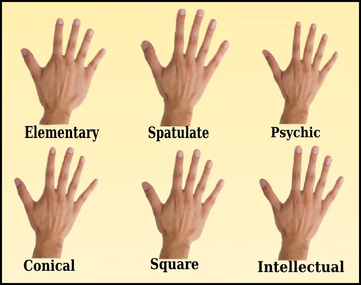 Chart of six palmistry hand types, elementary, spatulate, psychic, conical, square and intellectual, each shown as a labeled photo of an open hand